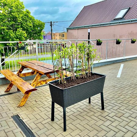 Penzion Bazen Vino Sklep U Palecku Zaječí 外观 照片